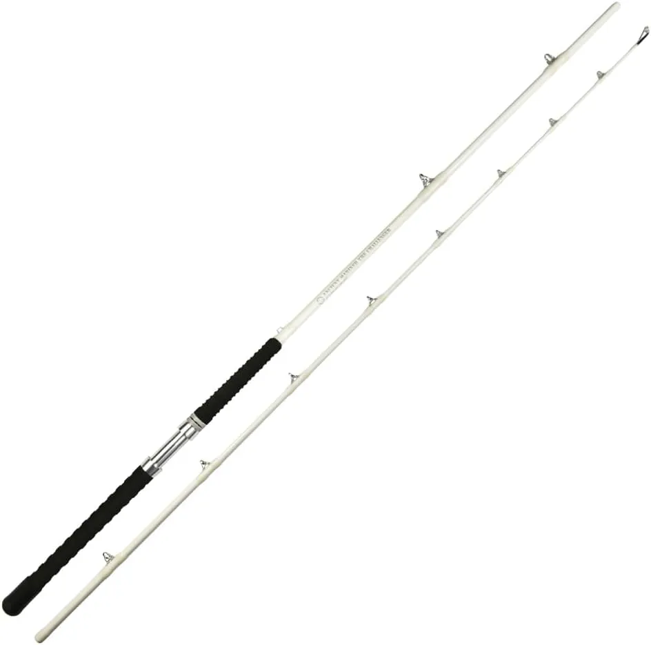 ANCIENT MARINER Catfish Fishing Rods 10' Two-Piece Glow in The Dark Ancient Mariner The Challenger Casting Rod, Heavy