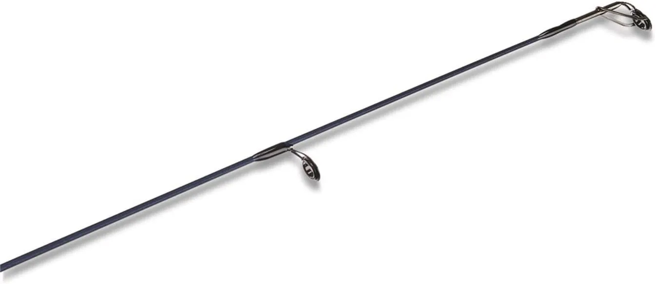 Fenwick Eagle Salmon/Steelhead Spinning Fishing Rod