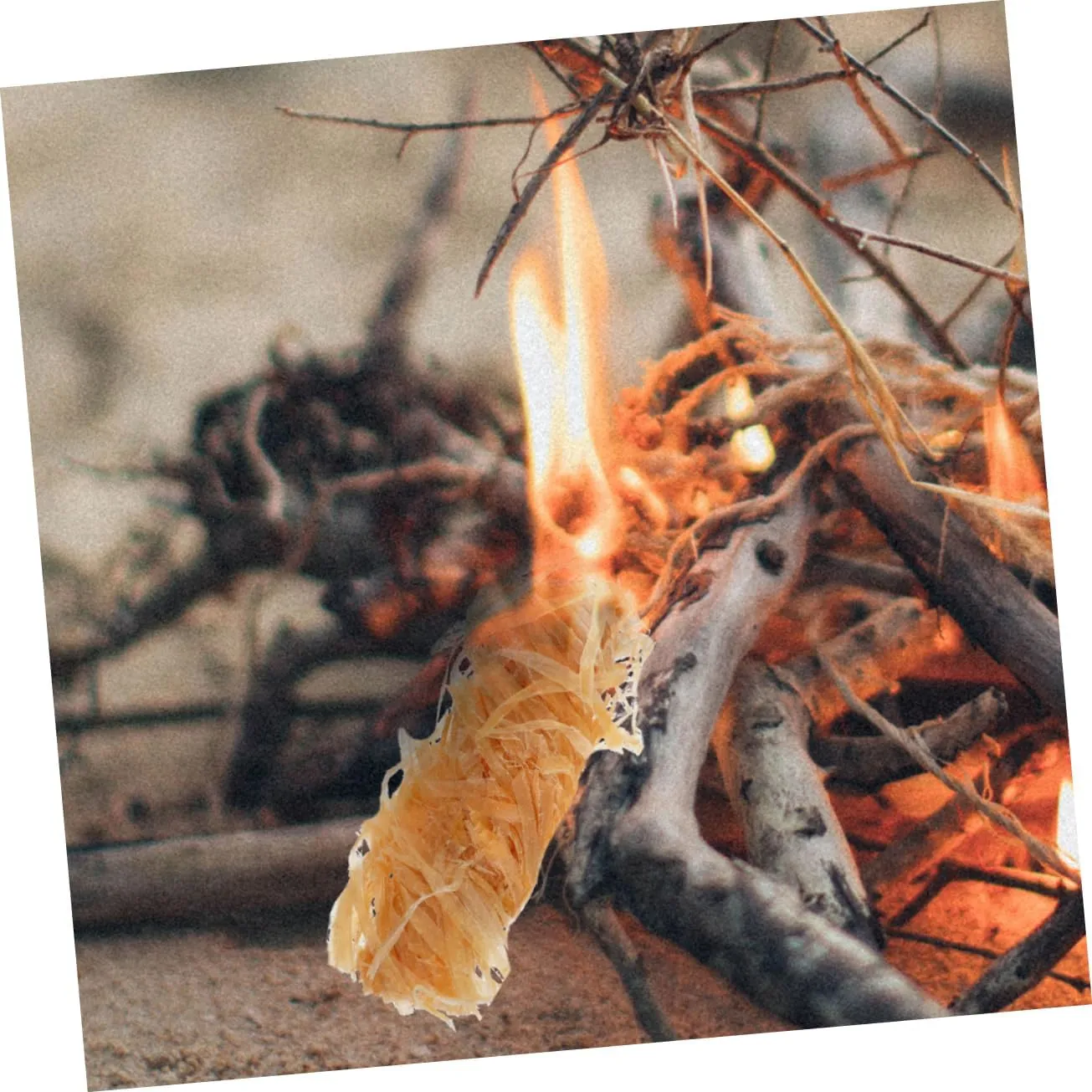 KESYOO 64pcs Natural Wooden Fire for Campfires Grilling Outdoor BBQ Weather-Resistant Fire Lighters for Compact Convenient Starter