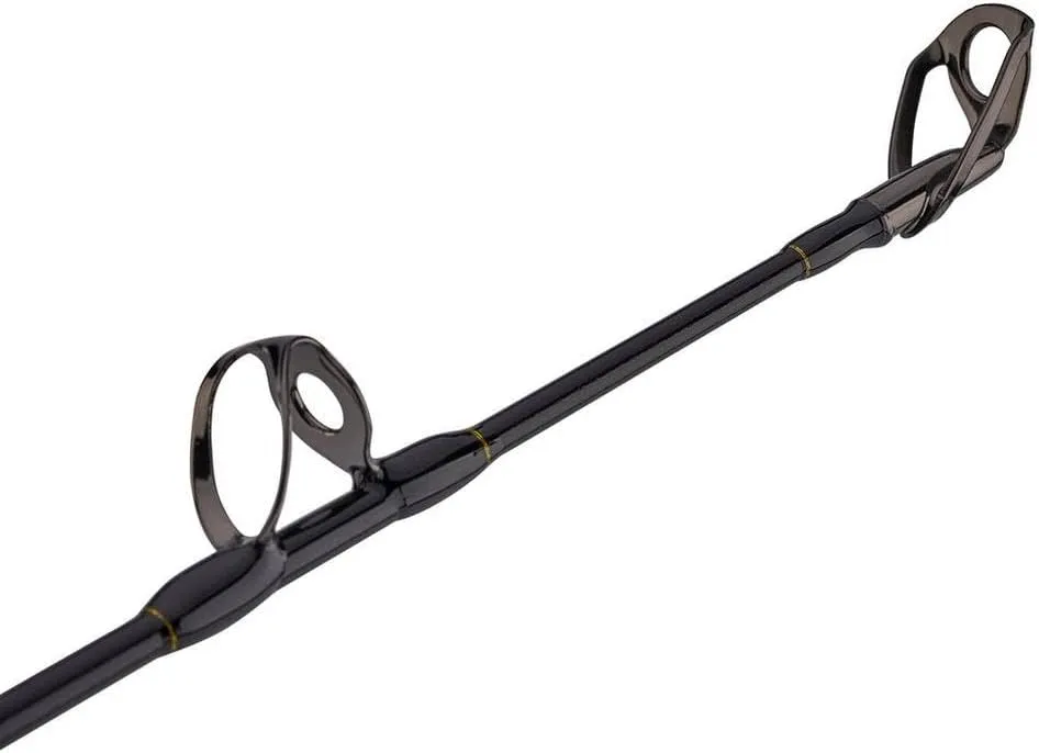 PENN Squall II Lever Drag Fishing Rod & Reel Combo