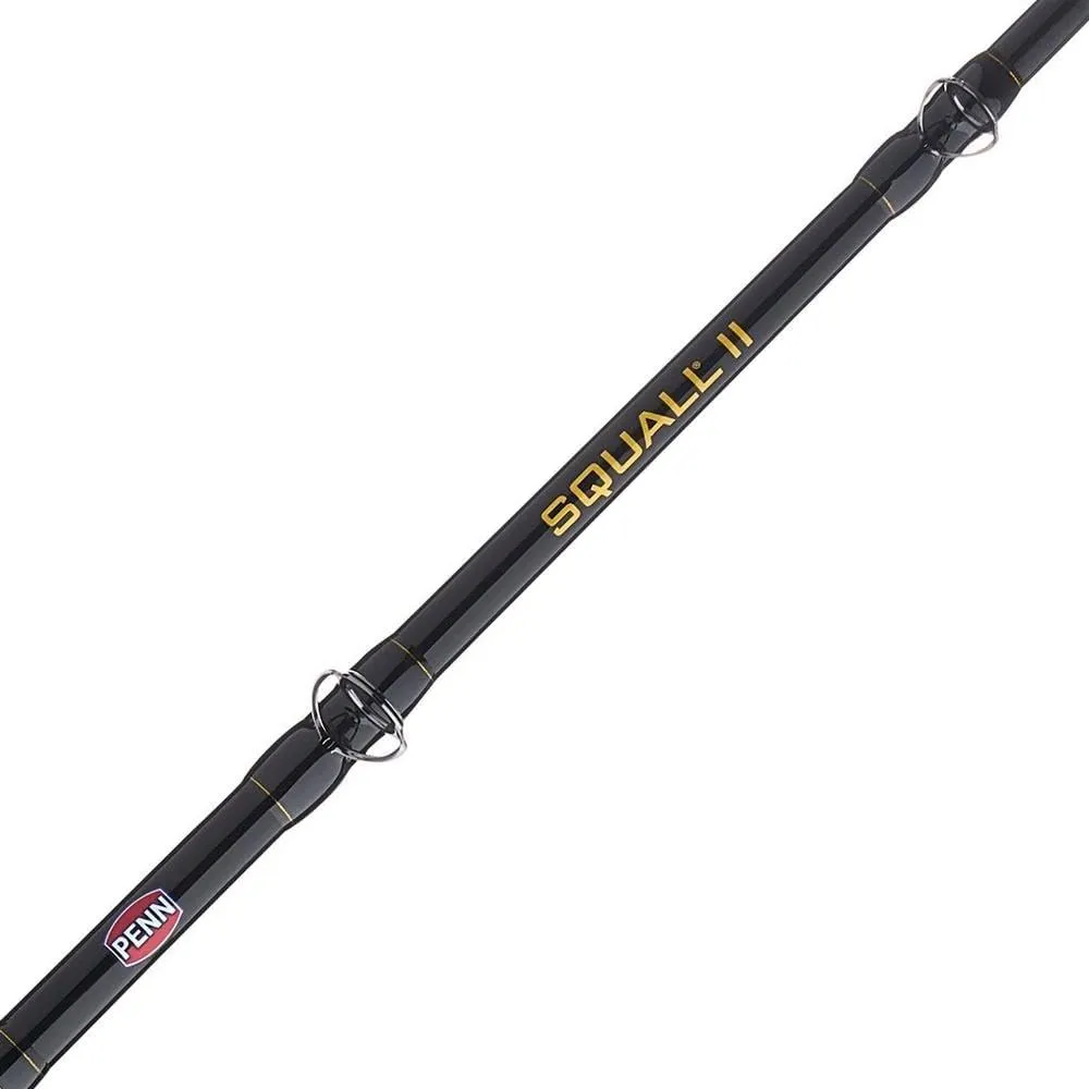 PENN Squall II Lever Drag Fishing Rod & Reel Combo