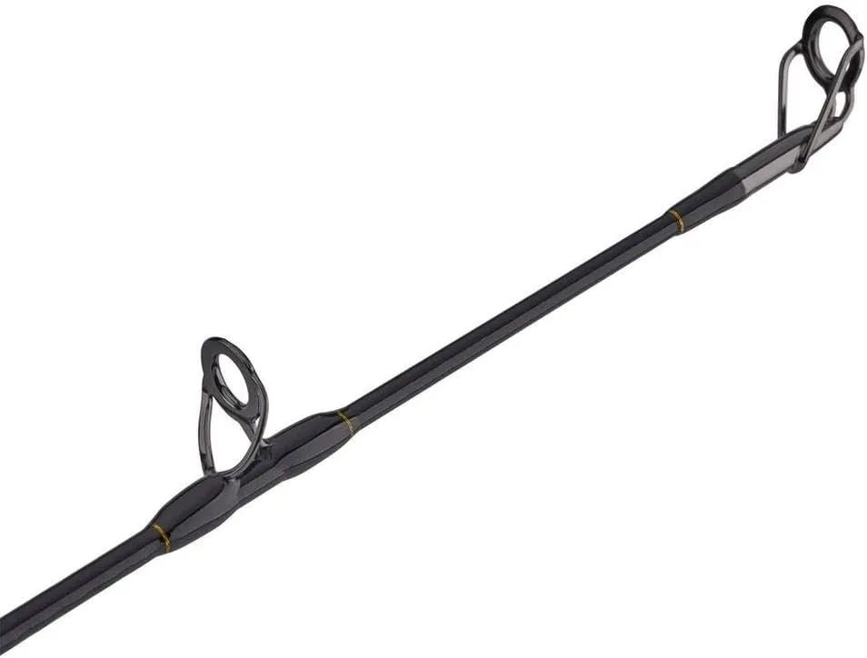 PENN Squall II Lever Drag Fishing Rod & Reel Combo