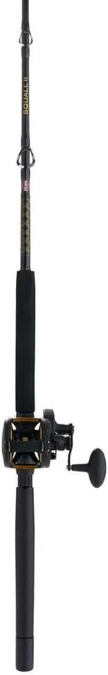 PENN Squall II Lever Drag Fishing Rod & Reel Combo
