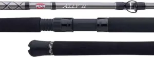 PENNfishing Rod