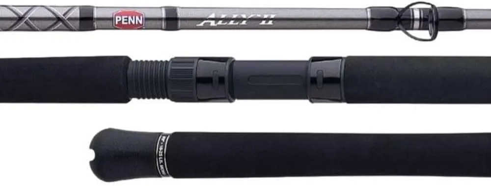 PENNfishing Rod