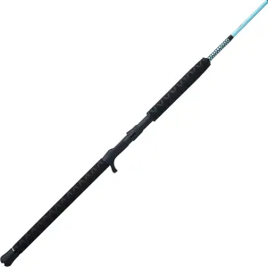 Ugly Stik Carbon Jigging Casting Fishing Rod