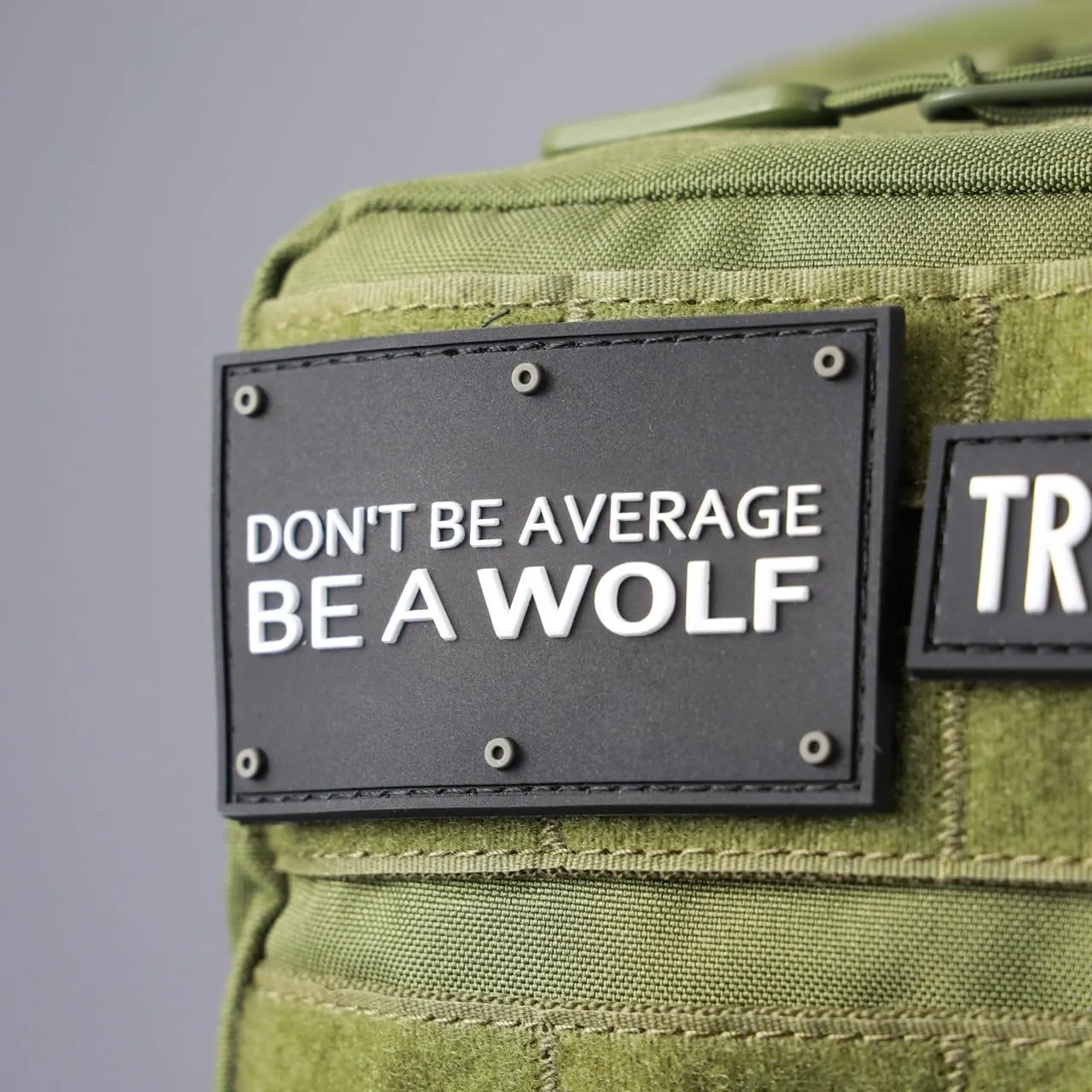 WOLFpak 35L Backpack (OD Green)