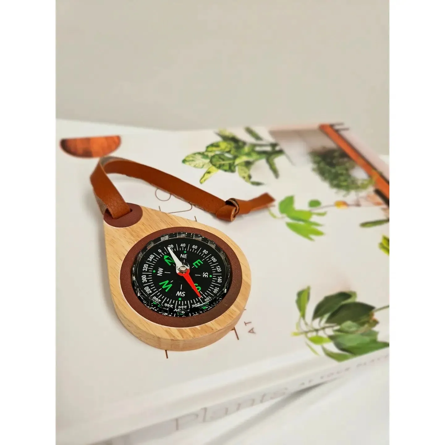 Wooden Compass