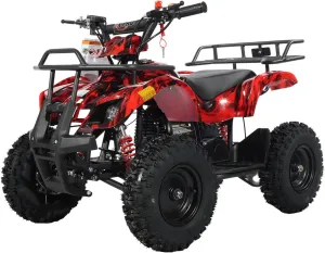 X-PRO ATV 4 Wheelers 40cc ATV Quads Quad (Hot Rod Flame)